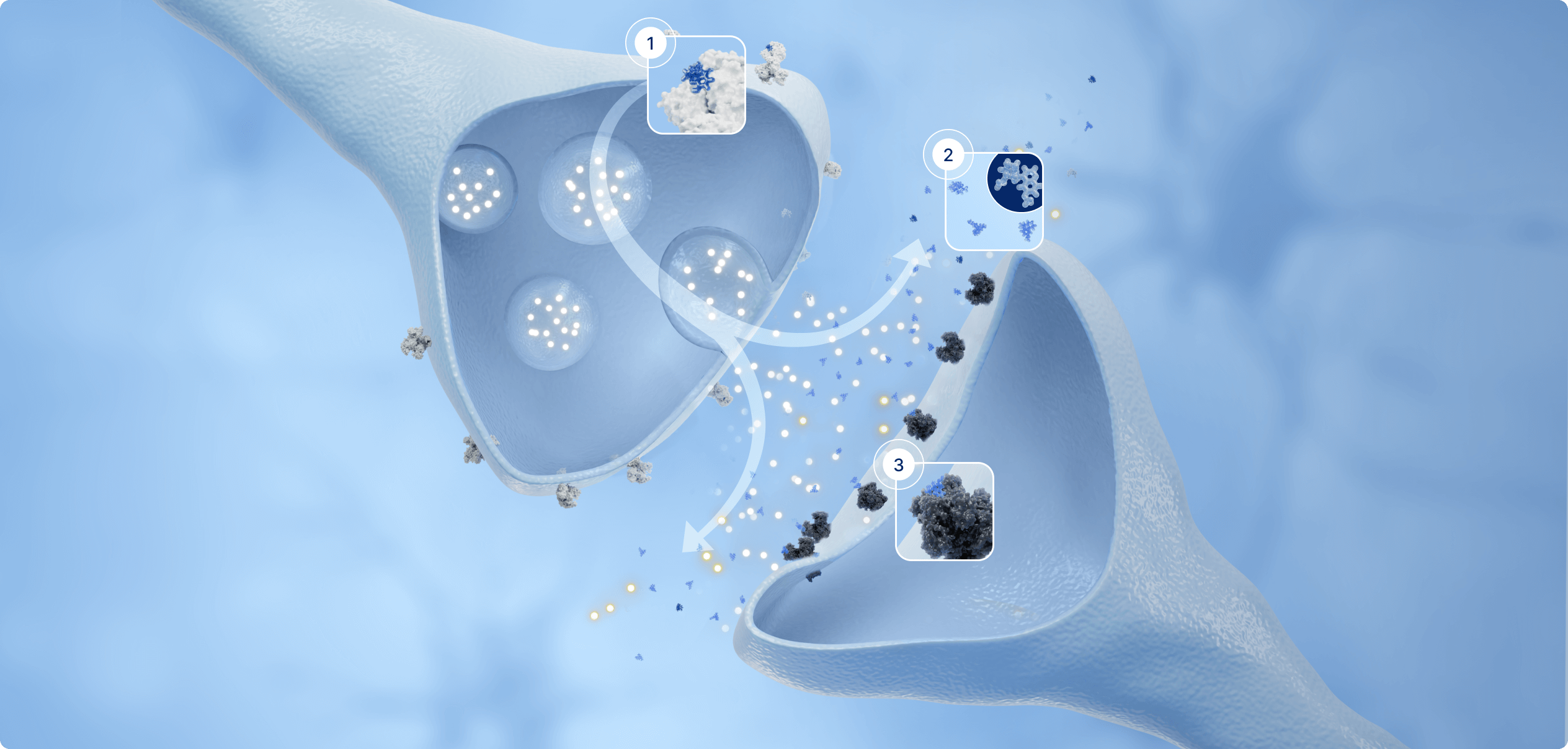 MBL-001 mechanism of action