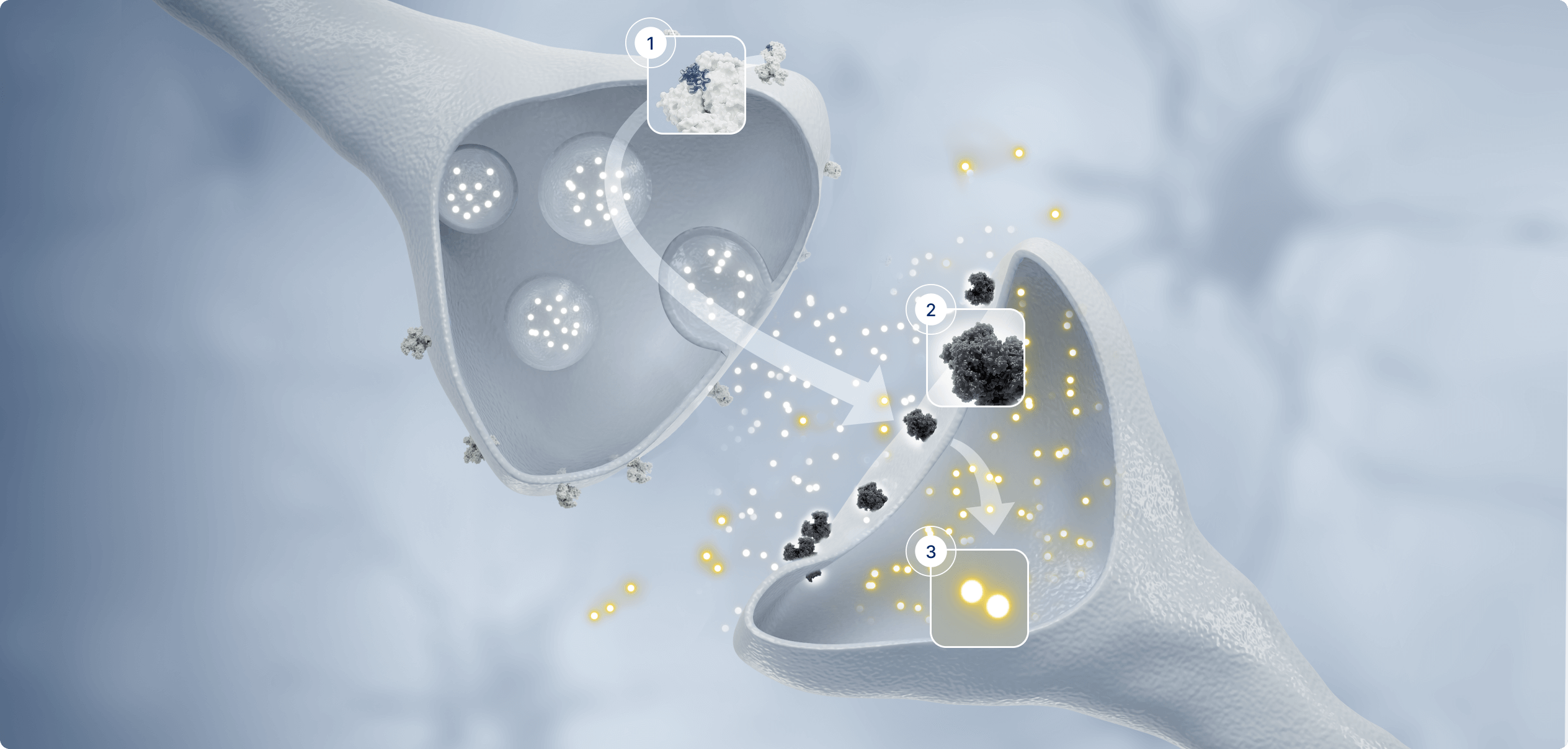 Traditional Morphine mechanism of action